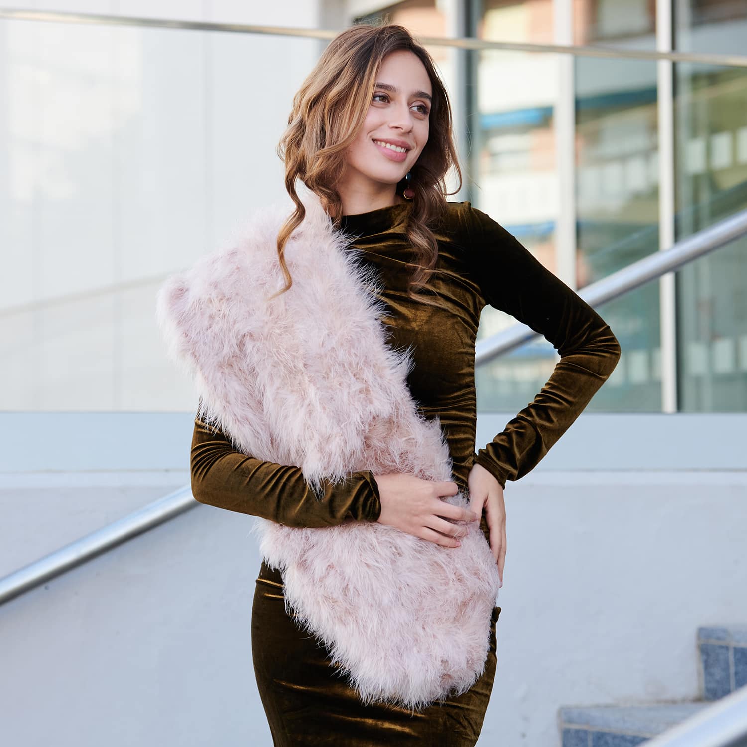 Etole Marabout de différentes couleurs