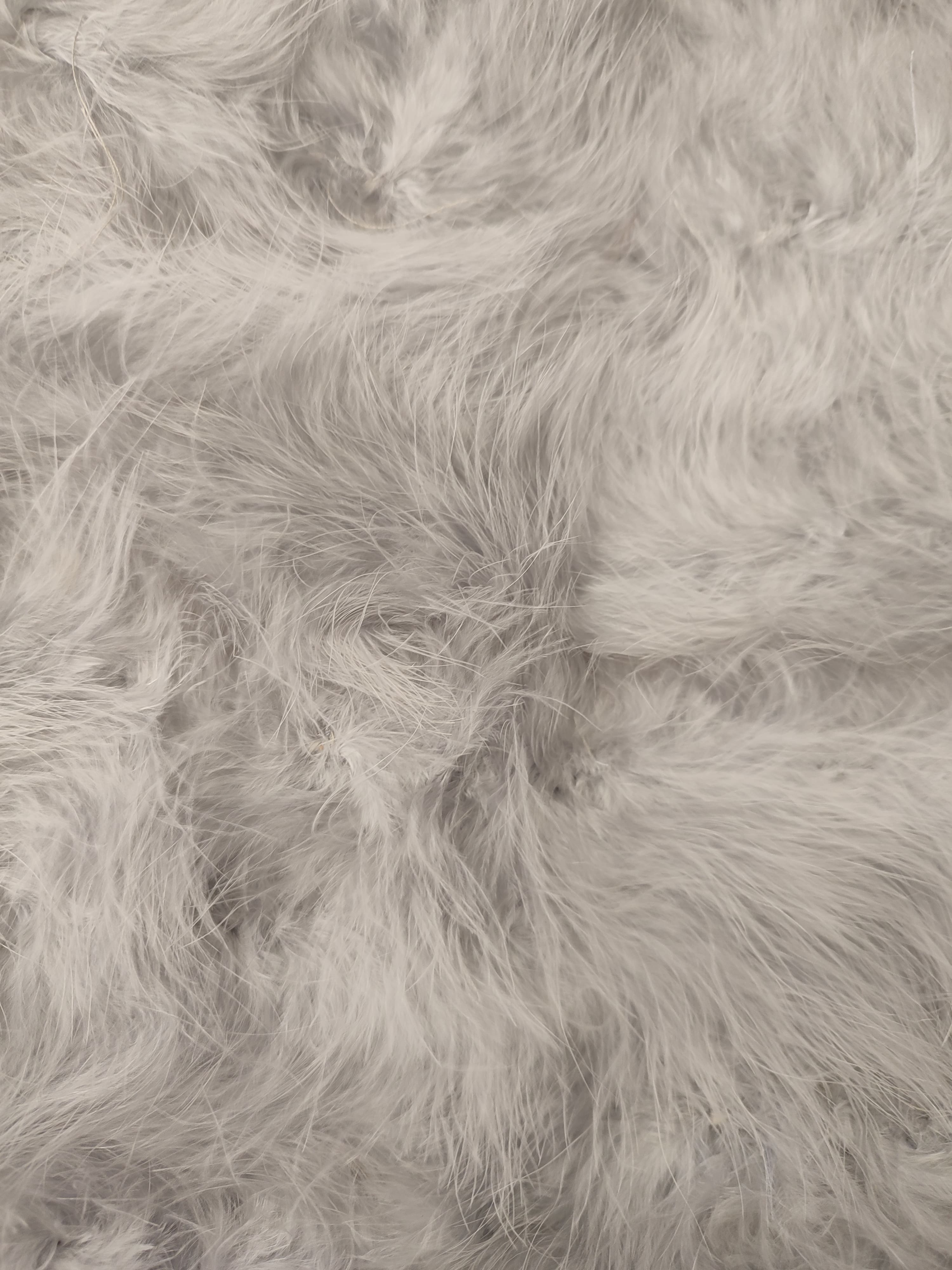 Etole Marabout de différentes couleurs